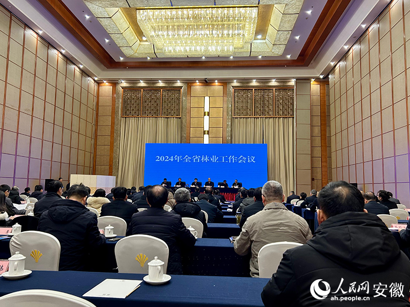 會(huì)議現(xiàn)場。人民網(wǎng)記者 高飛躍攝