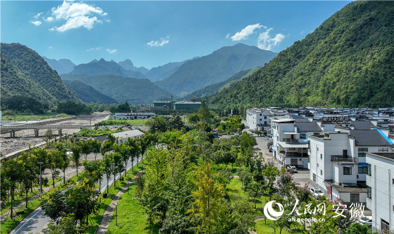 滿目青綠。人民網(wǎng)記者 陶濤攝