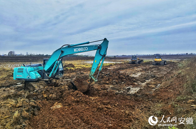 來安縣棗林村正在進(jìn)行高標(biāo)準(zhǔn)農(nóng)田改造。人民網(wǎng)記者 周坤攝