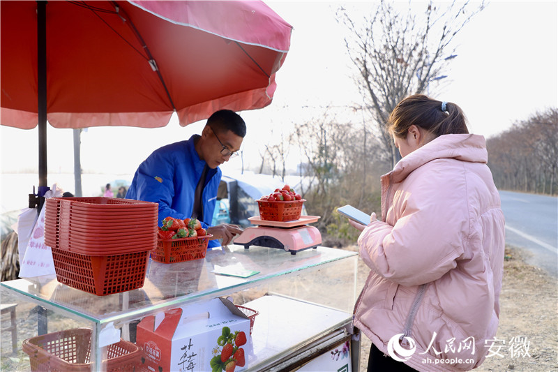 前來(lái)購(gòu)買草莓的顧客絡(luò)繹不絕。人民網(wǎng)記者 陶濤攝