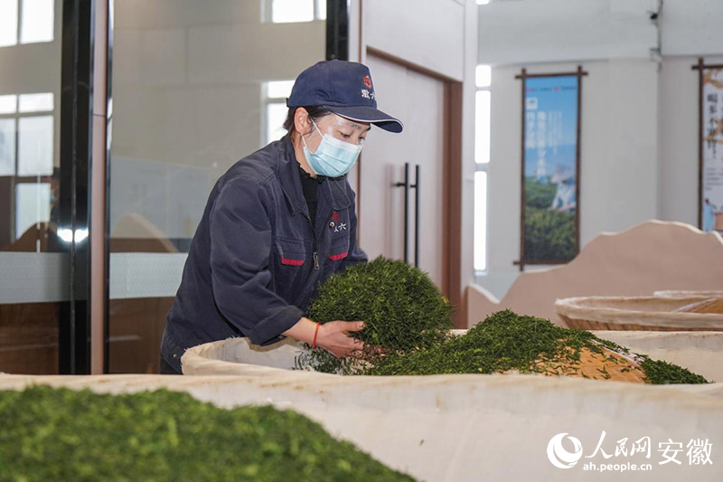 六安瓜片傳統(tǒng)技藝中，溫度與火候的把控，全憑老師傅的經(jīng)驗(yàn)與手感。人民網(wǎng)記者 陳若天攝