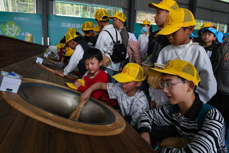 在霍山縣凡沖茶海，孩子們?cè)谶@里體驗(yàn)炒茶技藝。吳芳攝
